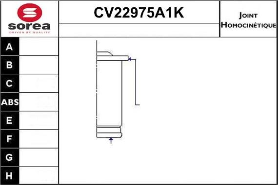 EAI CV22975A1K - Шарнірний комплект, ШРУС, приводний вал avtolavka.club