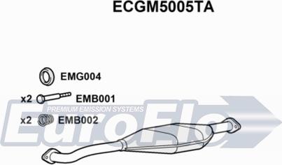 EuroFlo ECGM5005TA - Каталізатор avtolavka.club