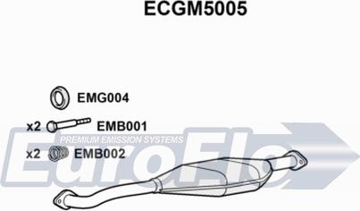 EuroFlo ECGM5005 - Каталізатор avtolavka.club