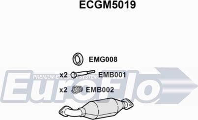 EuroFlo ECGM5019 - Каталізатор avtolavka.club