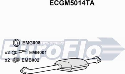 EuroFlo ECGM5014TA - Каталізатор avtolavka.club