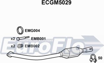 EuroFlo ECGM5029 - Каталізатор avtolavka.club