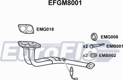 EuroFlo EFGM8001 - Труба вихлопного газу avtolavka.club