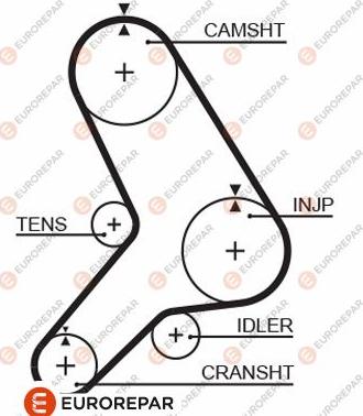 EUROREPAR 1633139080 - Ремінь ГРМ avtolavka.club