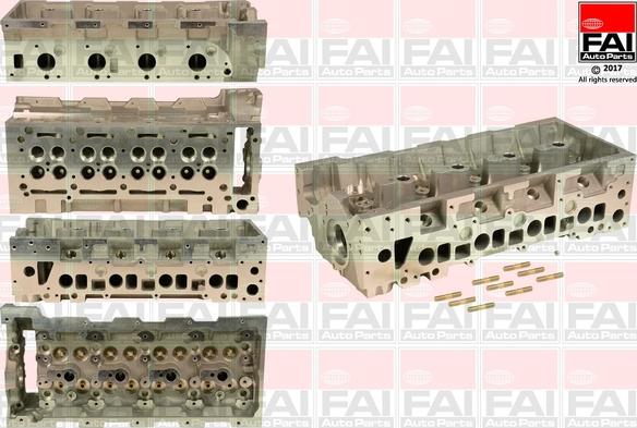 FAI AutoParts BCH041 - Головка циліндра avtolavka.club