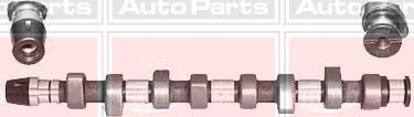 FAI AutoParts C305 - Шток avtolavka.club