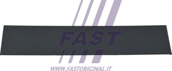 Fast FT90765 - Облицювання / захисна накладка, двері avtolavka.club