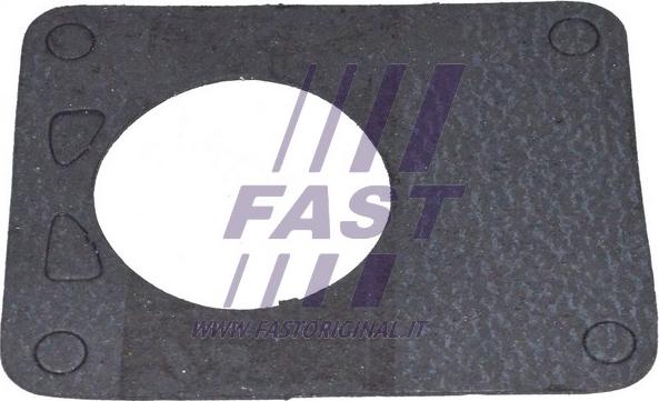 Fast FT49901 - Прокладка, вакуумний насос avtolavka.club