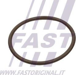 Fast FT49933 - Кільце ущільнювача, трубка, що нагнітається avtolavka.club