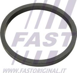 Fast FT49924 - Прокладка, масляний радіатор avtolavka.club