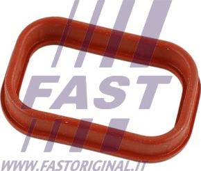 Fast FT49435 - Прокладка, впускний колектор avtolavka.club