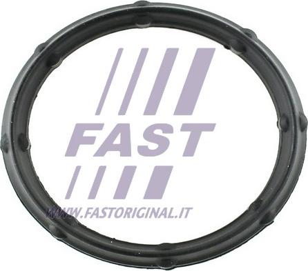 Fast FT49424 - Прокладка, впускний колектор avtolavka.club