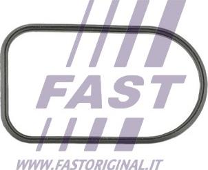 Fast FT49425 - Прокладка, впускний колектор avtolavka.club
