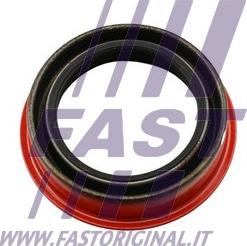 Fast FT49851 - Ущільнене кільце, диференціал avtolavka.club