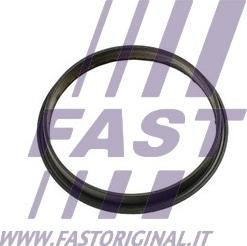 Fast FT49853 - Прокладка, вакуумний насос avtolavka.club