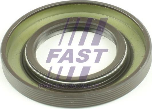 Fast FT49708 - Ущільнене кільце, диференціал avtolavka.club
