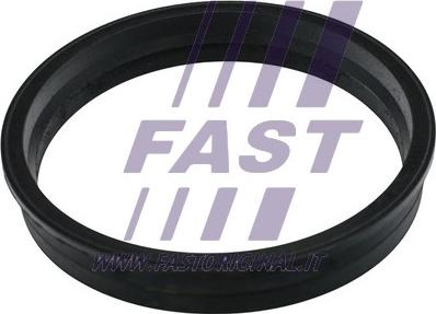 Fast FT48505 - Прокладка, датчик рівня палива avtolavka.club