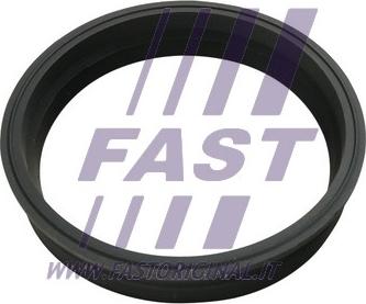 Fast FT48501 - Прокладка, датчик рівня палива avtolavka.club
