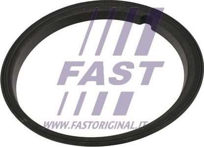 Fast FT48502 - Прокладка, датчик рівня палива avtolavka.club