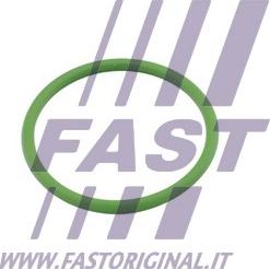 Fast FT48803 - Прокладка, впуск в турбіну (компресор) avtolavka.club