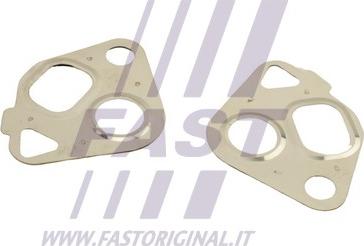 Fast FT50607 - Комплект прокладок, AGR-система avtolavka.club