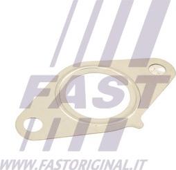 Fast FT50616 - Прокладка, клапан повернення ОГ avtolavka.club
