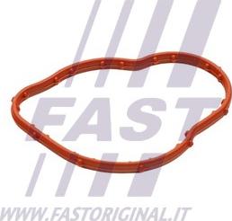 Fast FT58305 - Прокладка, термостат avtolavka.club