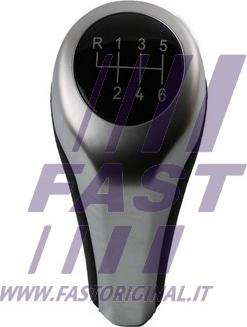 Fast FT09042 - Ручка важеля перемикання передач avtolavka.club