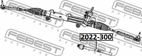 Febest 2022-300 - Осьовий шарнір, рульова тяга avtolavka.club