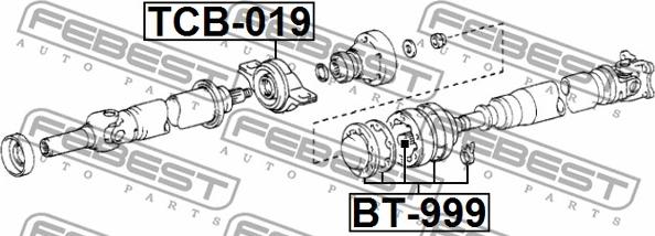 Febest BT-999 - Пильник, приводний вал avtolavka.club