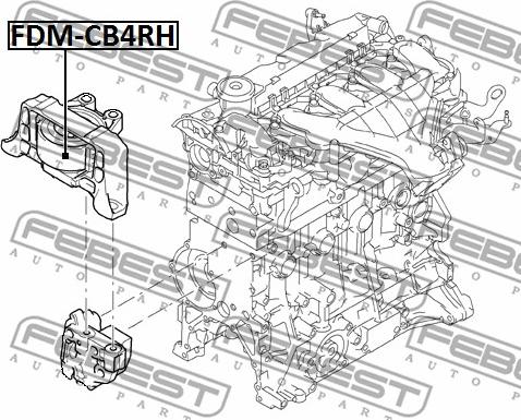 Febest FDM-CB4RH - Подушка, підвіска двигуна avtolavka.club