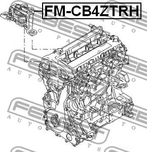 Febest FM-CB4ZTRH - Подушка, підвіска двигуна avtolavka.club