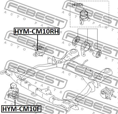 Febest HYM-CM10F - Подушка, підвіска двигуна avtolavka.club