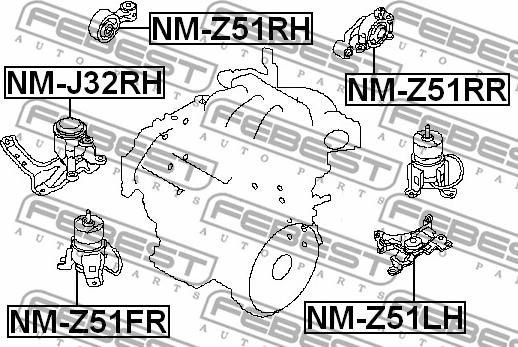 Febest NM-Z51FR - Подушка, підвіска двигуна avtolavka.club