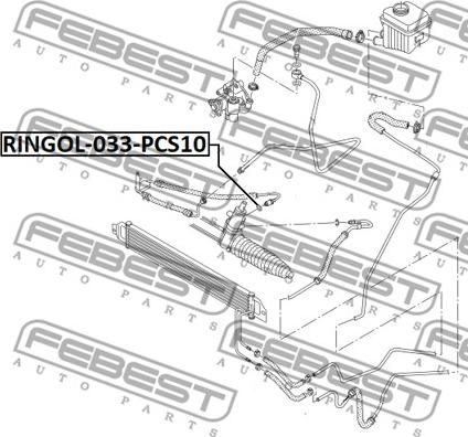 Febest RINGOL-033-PCS10 - Кільце ущільнювача валу, насос гідропідсилювача avtolavka.club