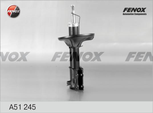 Fenox A51245 - Амортизатор avtolavka.club