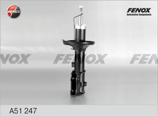 Fenox A51247 - Амортизатор avtolavka.club