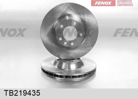 Fenox TB219435 - Гальмівний диск avtolavka.club