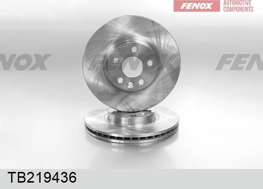 Fenox TB219436 - Гальмівний диск avtolavka.club