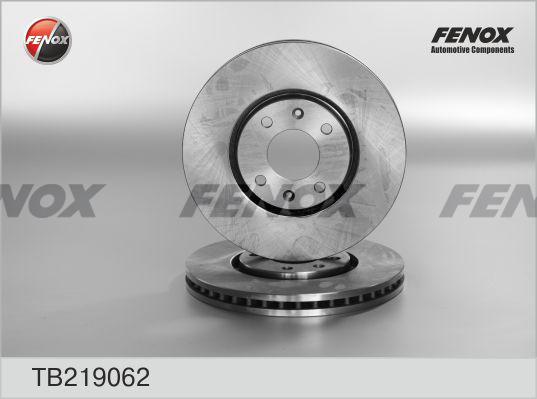 Fenox TB219062 - Гальмівний диск avtolavka.club