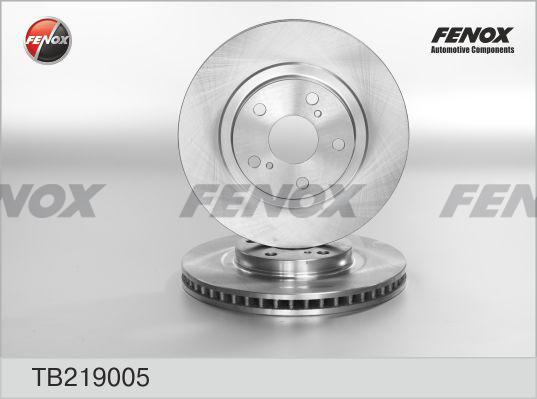 Fenox TB219005 - Гальмівний диск avtolavka.club