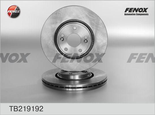 Fenox TB219192 - Гальмівний диск avtolavka.club