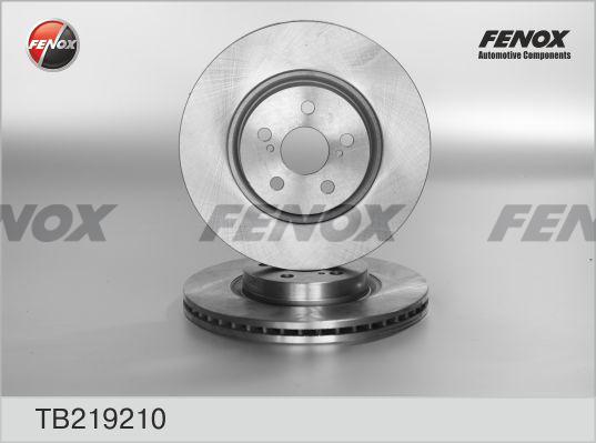 Fenox TB219210 - Гальмівний диск avtolavka.club