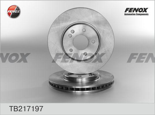 Fenox TB217197 - Гальмівний диск avtolavka.club