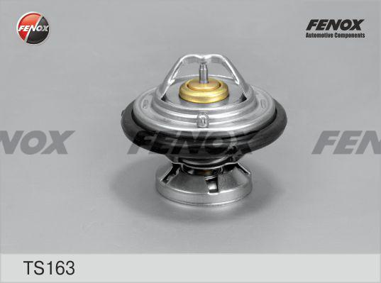 Fenox TS163 - Термостат, охолоджуюча рідина avtolavka.club