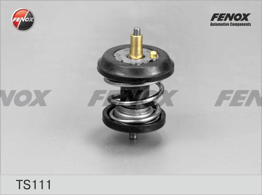 Fenox TS111 - Термостат, охолоджуюча рідина avtolavka.club
