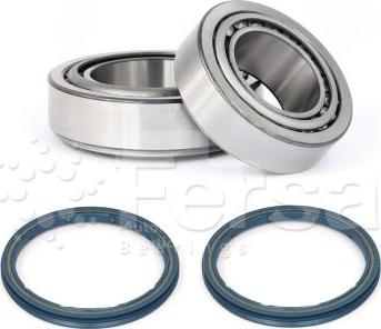 Fersa Bearings WK00543 - Комплект підшипника маточини колеса avtolavka.club