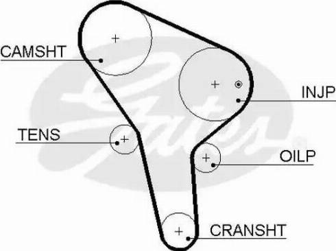 Gates 5455XS - Ремінь ГРМ avtolavka.club