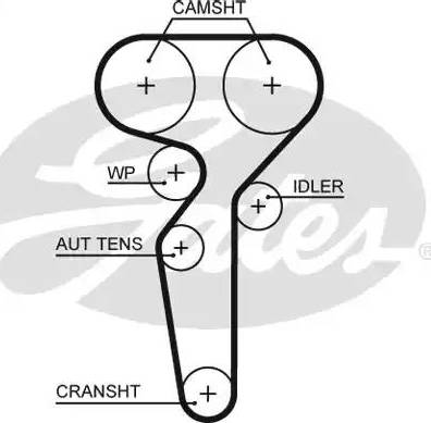 Gates 5655XS - Ремінь ГРМ avtolavka.club