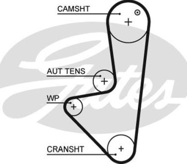 GATES-BR 58104X17XS - Ремінь ГРМ avtolavka.club